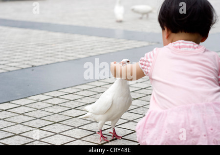 Nourrir les pigeons Banque D'Images