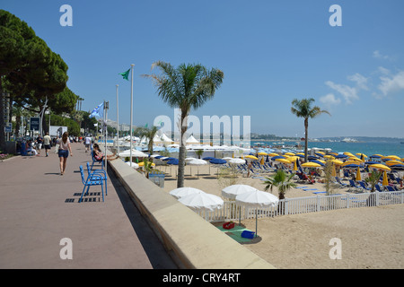 Plage et de la promenade vue, Boulevard de la Croisette, Cannes, Côte d'Azur, Alpes-Maritimes, Provence-Alpes-Côte d'Azur, France Banque D'Images