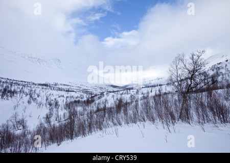 L'Arctique en ovre Dividal Parc National dans la région du Cercle arctique de Tromsø, dans le Nord de la Norvège Banque D'Images