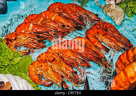 La cuisson à l'Arrangement de différentes variétés de poissons. Banque D'Images