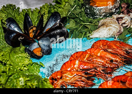 La cuisson à l'Arrangement de différentes variétés de poissons. Banque D'Images