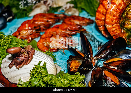 La cuisson à l'Arrangement de différentes variétés de poissons. Banque D'Images