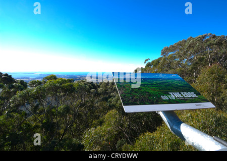 Illawarra Fly Tree Top Walk, près de Wollongong, New South Wales, Australie Banque D'Images