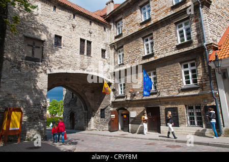 L'Estonie Eesti meremuuseum Maritime Museum exterior rue Pikk vieille ville Europe Estonie Tallinn Banque D'Images