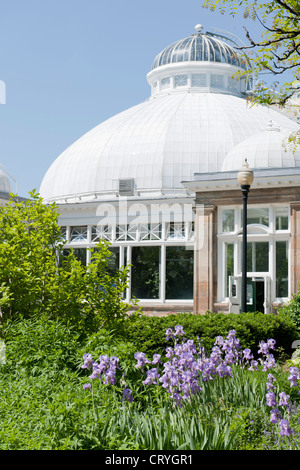 Allan Gardens Conservatory Palm House, Toronto Banque D'Images