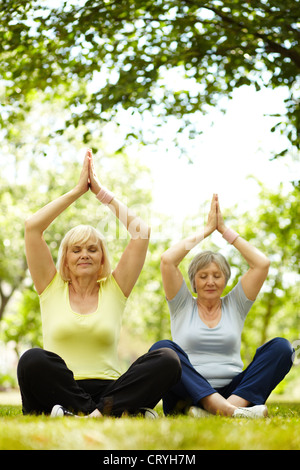 Portrait de deux femmes âgées de pratiquer le yoga dans le parc Banque D'Images