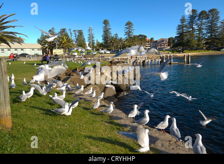 St, New South Wales, Australie Banque D'Images