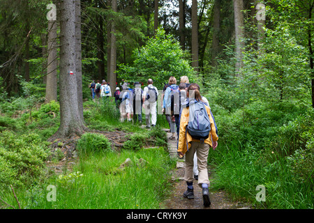 Les randonneurs randonnée Randonnée pédestre sentier forestier Banque D'Images