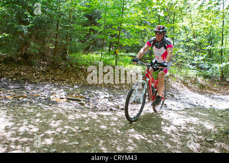 Sentier VTT Banque D'Images