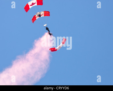 Les équipe de parachutistes des Forces canadiennes effectuant au Camp Borden Air Show, au Camp Borden;Ontario;Canada Banque D'Images