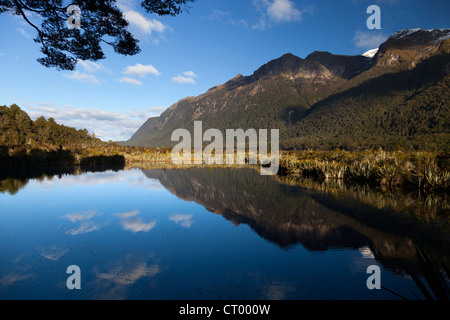 Mirror tarn, Hollyford Valley, Fiordland, Nouvelle-Zélande Banque D'Images