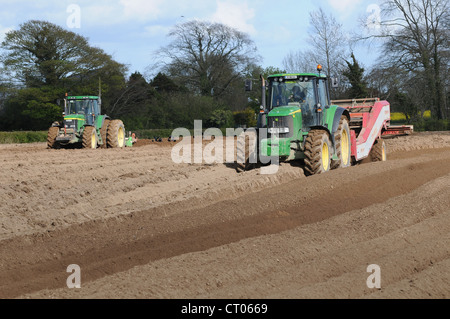 Agriculteur du sol labourer et planter des pommes de terre de semence coq Irlande Banque D'Images