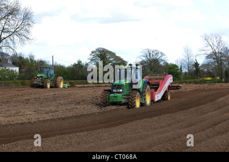 Agriculteur du sol labourer et planter des pommes de terre de semence coq Irlande Banque D'Images