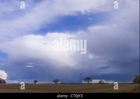 La formation de nuages Cumulonimbus avec Cirrus au-dessus (en haut à gauche) dans le ciel au-dessus de Swinbrook dans les Cotswolds, Royaume-Uni Banque D'Images