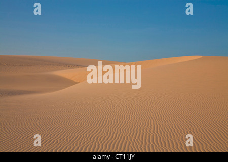 Ondulations dans les dunes de sable sous ciel bleu Banque D'Images