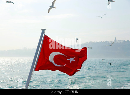 Vol de mouettes au-dessus de la Turquie d'un drapeau Banque D'Images