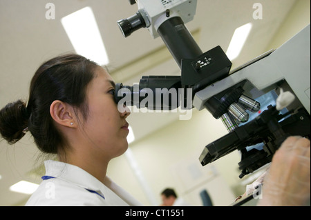 Un technicien de laboratoire diapositives études d'échantillons de sang Banque D'Images