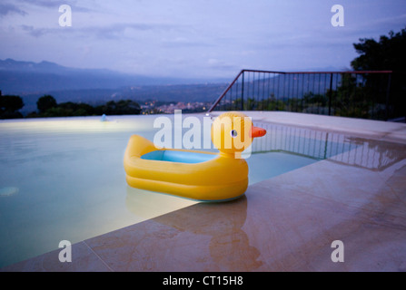 Canard flottant dans la piscine encore Banque D'Images