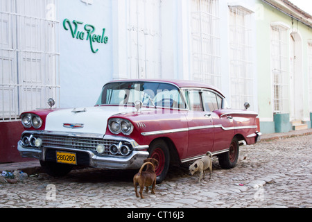 Examinant les chiens vintage car on street Banque D'Images