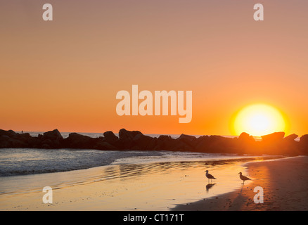 Silhouette de roches sur la plage au coucher du soleil Banque D'Images