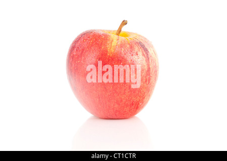 Pomme Rouge, Braeburn, Malus domestica, isolé sur fond blanc Banque D'Images