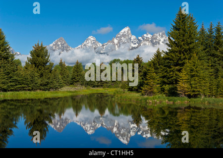 Gamme de groupe cathédrale Mont Teewinot Owen et Grand Teton schwabachers landing Parc National de Grand Teton Wyoming USA Banque D'Images