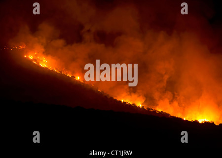 Feu de forêt de montagne la nuit détruit des milliers d'acres près de la fontaine dans l'Utah, vert intense provoquant des flammes et de la fumée qui fait rage. Banque D'Images