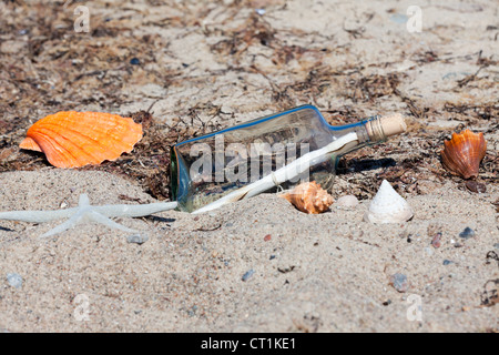 Message dans une bouteille sur la plage avec les coquillages et d'étoiles Banque D'Images