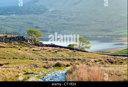 Chemin d'Rhyd-Ddu Snowdon, Gwynedd Snowdonia National Park au nord du Pays de Galles UK, vue sur le lac-y-Llyn Gader Banque D'Images