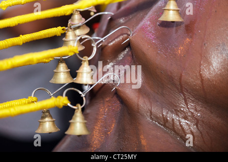 La peau de piercing en dévot indien Malaisie Thaipusam festival, grottes de Batu,Kuala Lumpur Banque D'Images