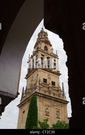 La Mezquita beffroi, Cordoba, Espagne Banque D'Images