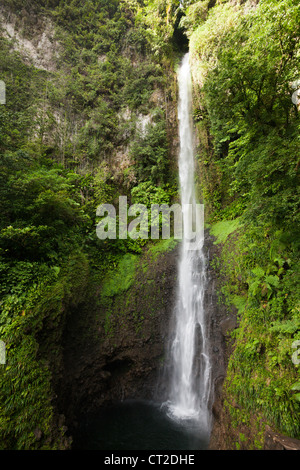 Middleham Falls Cascade, parc national du Morne Trois Pitons, Dominique Banque D'Images