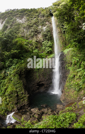 Middleham Falls Cascade, parc national du Morne Trois Pitons, Dominique Banque D'Images