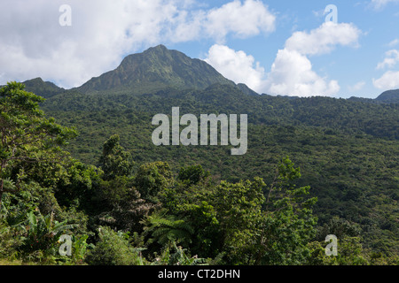 Paysage du Parc National du Morne Trois Pitons, Caraïbes, la Dominique Banque D'Images