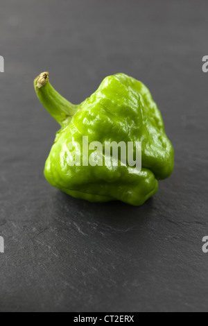 Piment Scotch Bonnet vert Banque D'Images