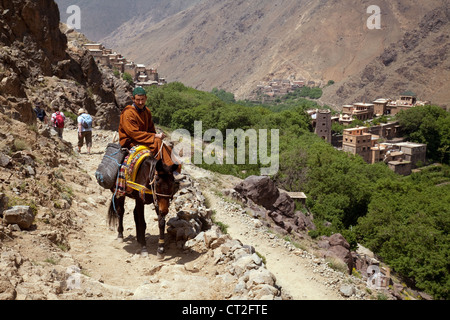 Un Berbère locale sur un âne dans les montagnes du Haut Atlas, près de Imlil, Maroc Sud Banque D'Images