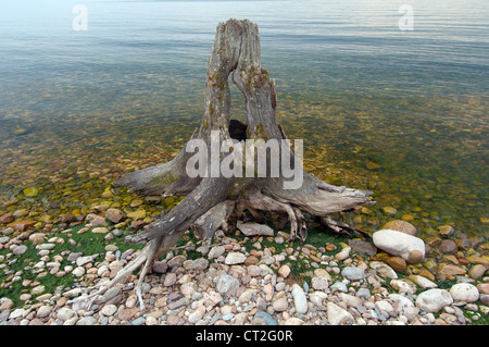 Bolchyié Koty Koty (BIG), le lac Baïkal, région d'Irkoutsk, en Sibérie, Fédération de Russie Banque D'Images