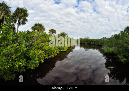 Vue grand angle du paysage de la Floride et du ciel au Pelican Island National Wildlife Refuge. Banque D'Images