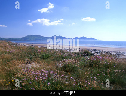 Dinas Dinlle plage avec Yr Eifl montagnes dans la péninsule de Llŷn distance Gwynedd North Wales UK Banque D'Images