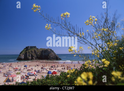 St Catherine's Island et plage de Tenby et Château de l'ouest de Pembrokeshire Wales UK Banque D'Images