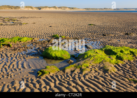 Les roches moussues ridée dans le sable sur la plage dans la baie de Dunnet à marée basse le soir à l'Écosse Caithness Dunnett UK Grande-Bretagne Banque D'Images