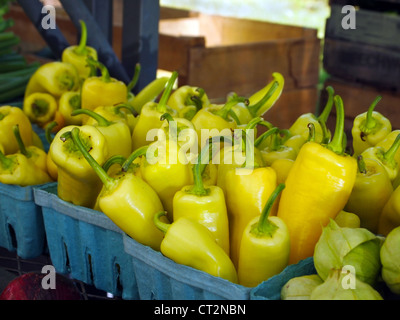 Jaune corbeilles piments bananes en vente à un marché fermier local. Banque D'Images