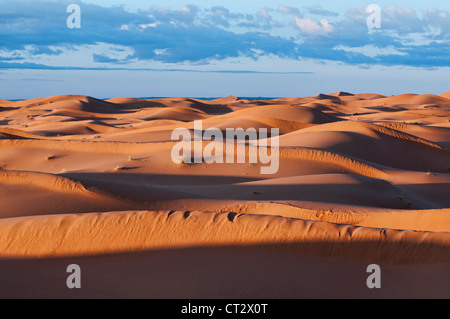 De belles dunes de sable au lever du soleil dans le Sahara près de Merzouga, Erg Chebbi, Maroc Banque D'Images