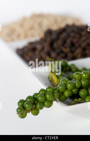 Chaude et épicée de noir, blanc et vert sur fond blanc Banque D'Images