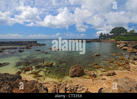 Sharks Cove, sur la côte nord d'Oahu, Hawaii Banque D'Images