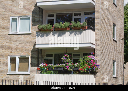 Appartements, studios, Londres. Fenêtre sur les boîtes colorées planté à côté d'un balcon. Stoke Newington. Banque D'Images