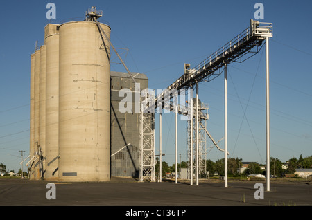 Un groupe d'élévateurs à grains et les silos de stockage Banque D'Images