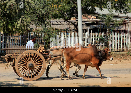 Charrette dans les rues de New Bagan Banque D'Images