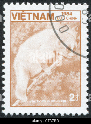 VIETNAM-VERS 1984 : timbre imprimé dans le Vietnam montre loris lent Sunda (Nycticebus coucang), vers 1984 Banque D'Images