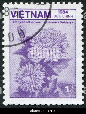 VIETNAM-VERS 1984 : timbre imprimé dans le Vietnam, montre une fleur chrysanthème sinense (Sabine), vers 1984 Banque D'Images